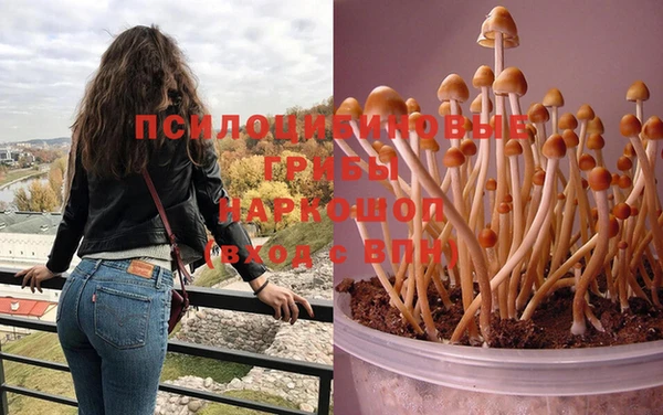 спайс Абдулино