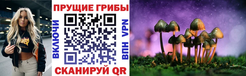 Галлюциногенные грибы мицелий сколько стоит MEGA ссылки Балаково